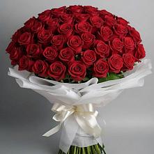 Букет 101 Красная роза Блэк Мэджик в Стекольный