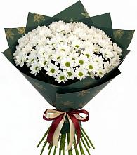 Букет цветов из:  Хризантемы в Стекольный